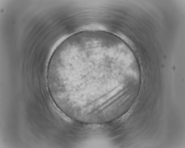 X0000077331248200611171759