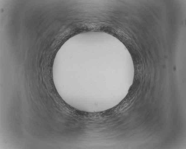 X0000077331249200611171759