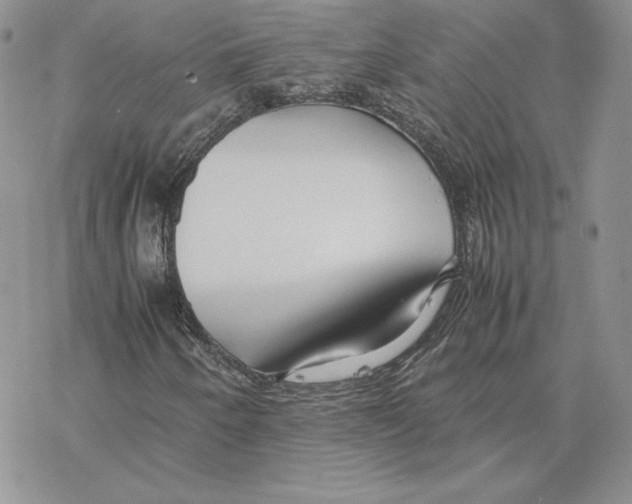 X0000077331250200611171759