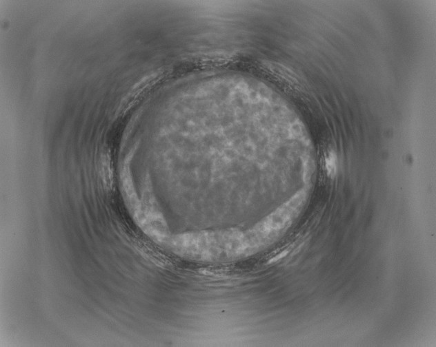 X0000077331252200611171759