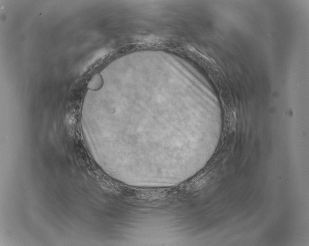 X0000077331254200611171759