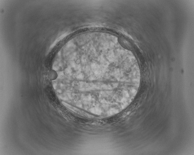 X0000077331255200611171758