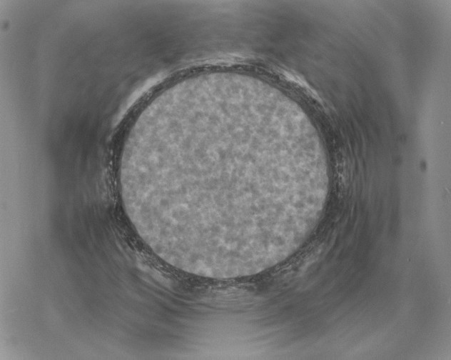 X0000077331256200611171758