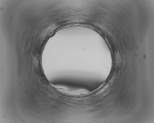 X0000077331257200611171758