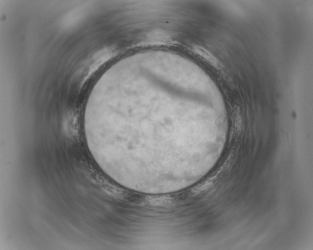 X0000077331258200611171758