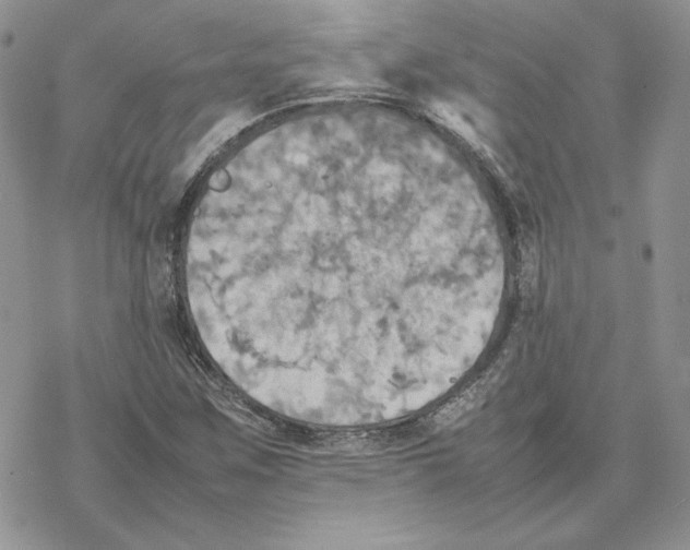 X0000077331259200611171758