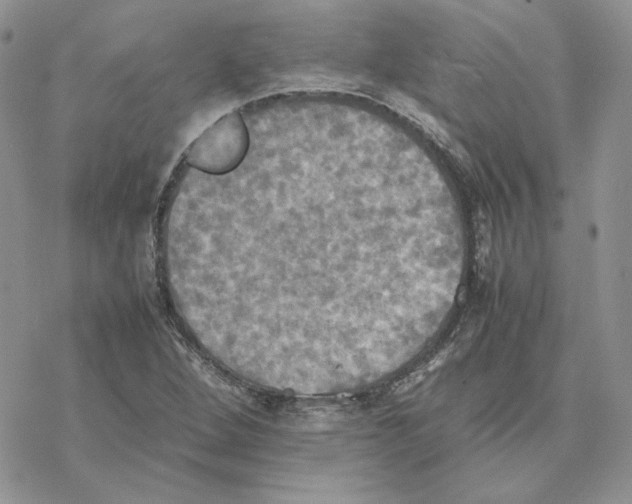 X0000077331264200611171758