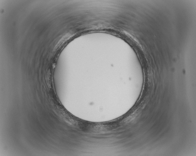 X0000077331265200611171758