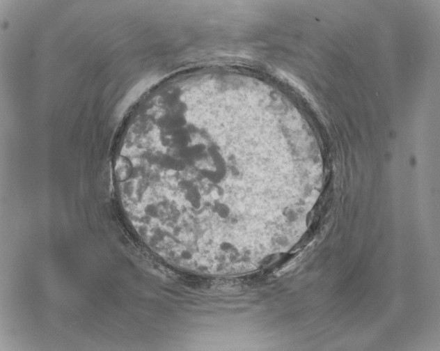 X0000077331267200611171758