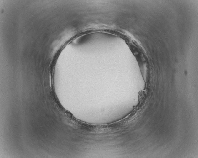 X0000077331269200611171758