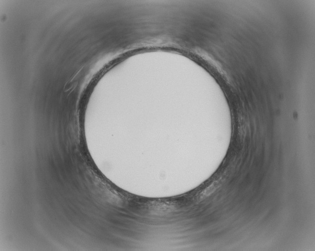 X0000077331270200611171758