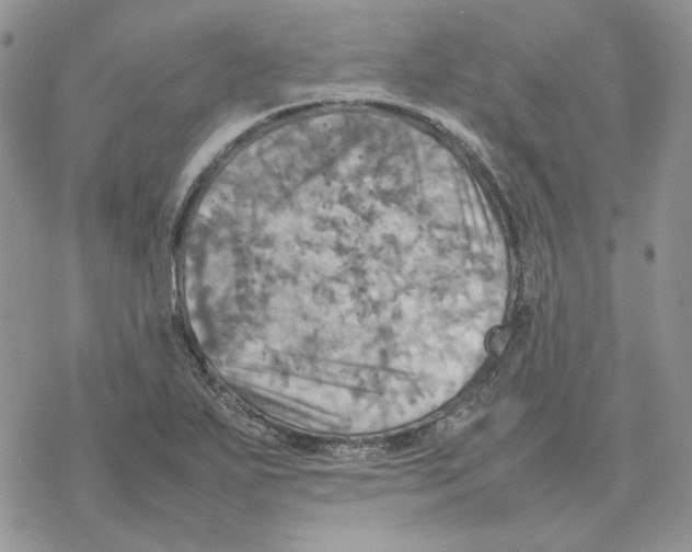 X0000077331271200611171758