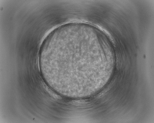 X0000077331272200611171758