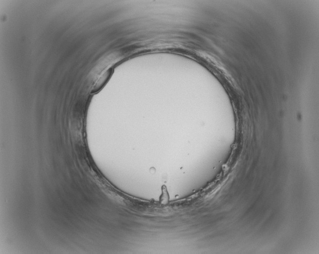 X0000077331273200611171758