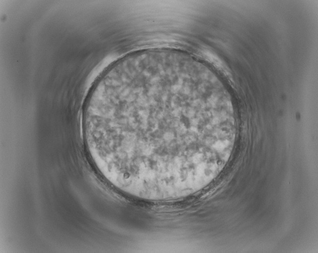 X0000077331275200611171758