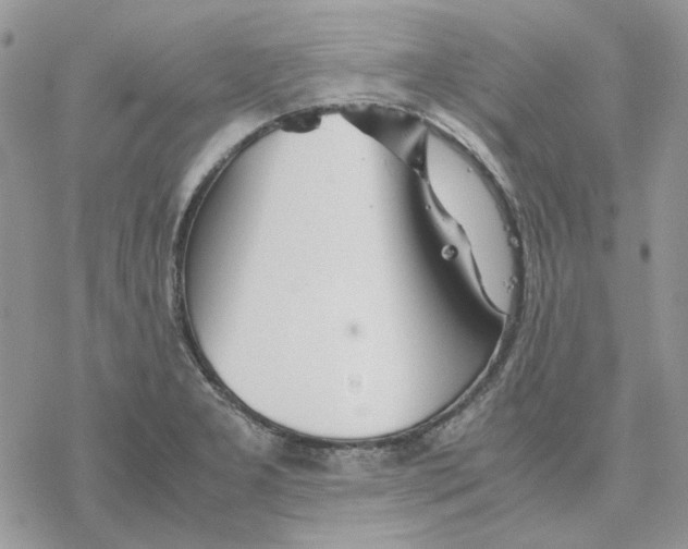 X0000077331277200611171758