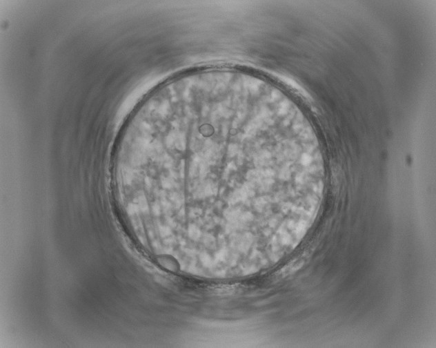 X0000077331279200611171758