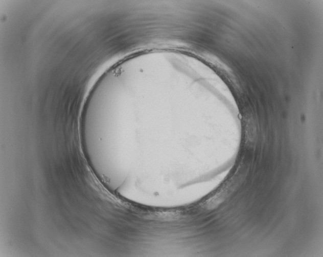 X0000077331280200611171758