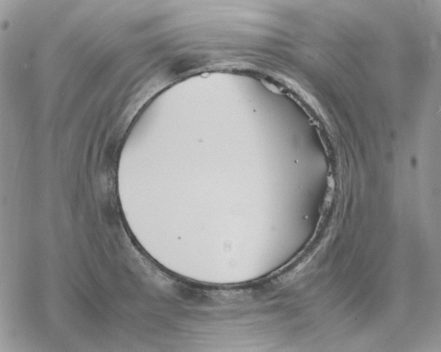 X0000077331281200611171758