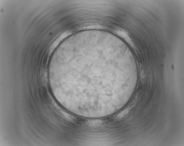 X0000077331282200611171758