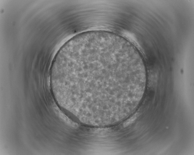 X0000077331284200611171758