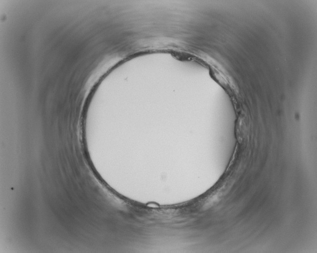 X0000077331285200611171758