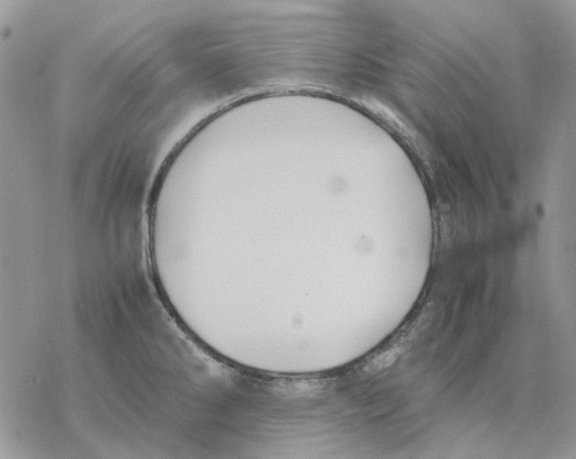 X0000077331286200611171758