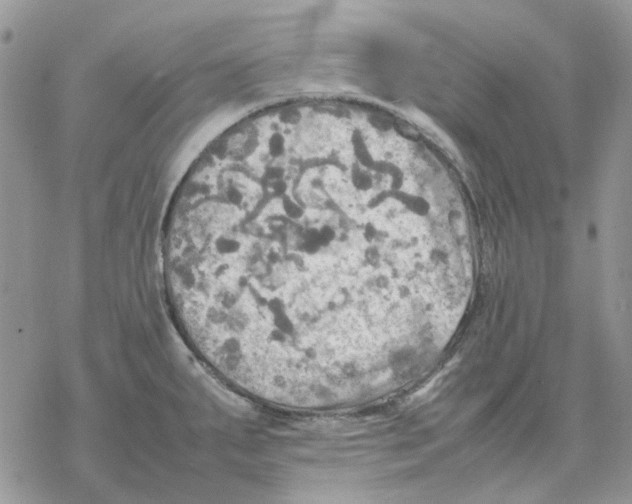 X0000077331287200611171758