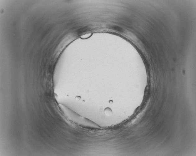 X0000077331289200611171758