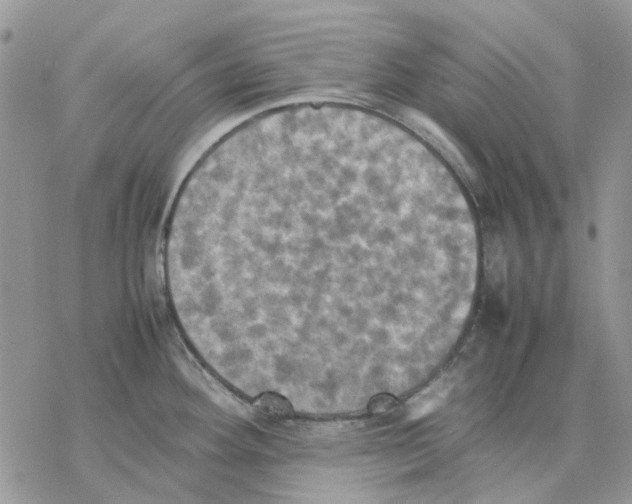 X0000077331292200611171758