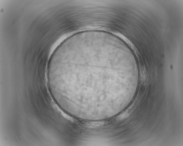 X0000077331294200611171758