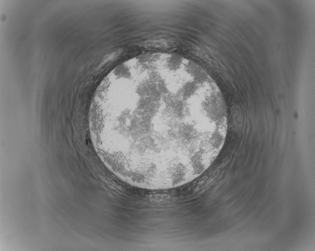 X0000077331297200611171757