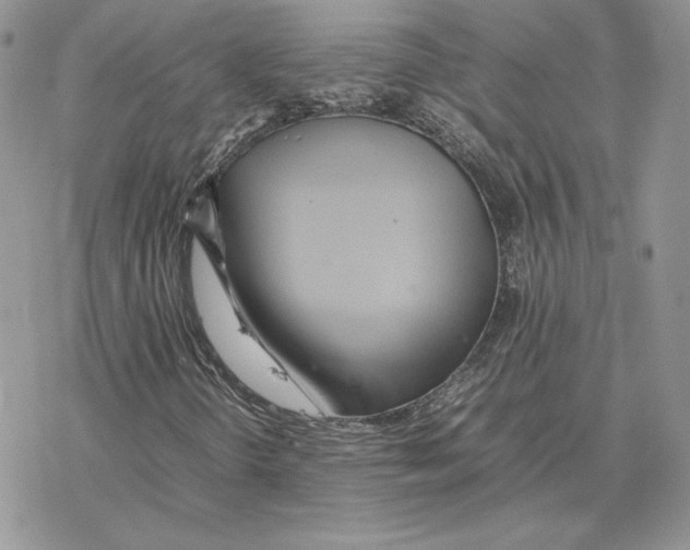 X0000077331298200611171757