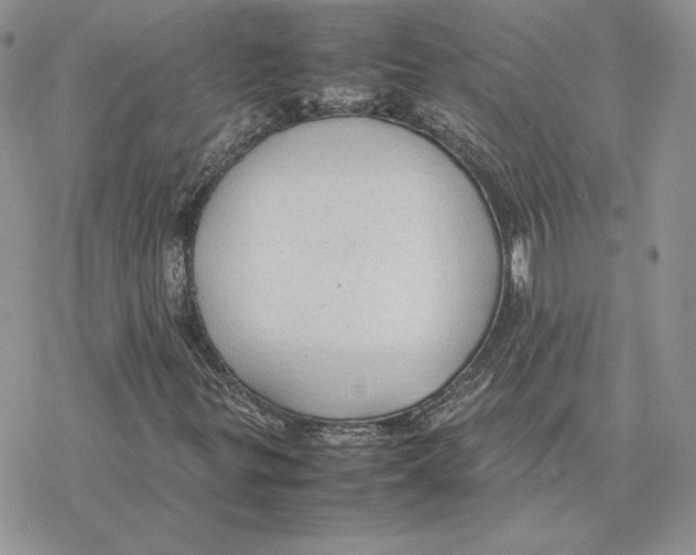 X0000077331299200611171757