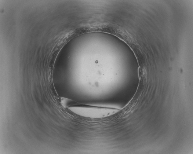 X0000077331300200611171757