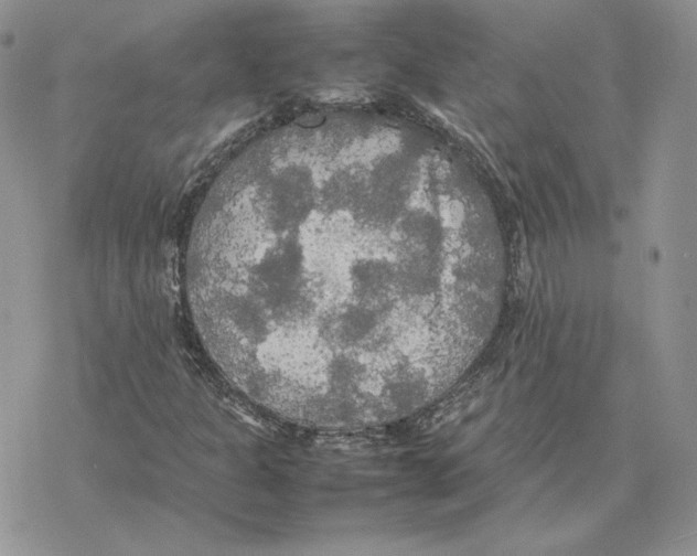 X0000077331301200611171757