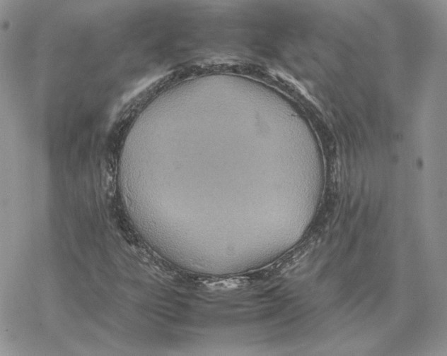 X0000077331303200611171757