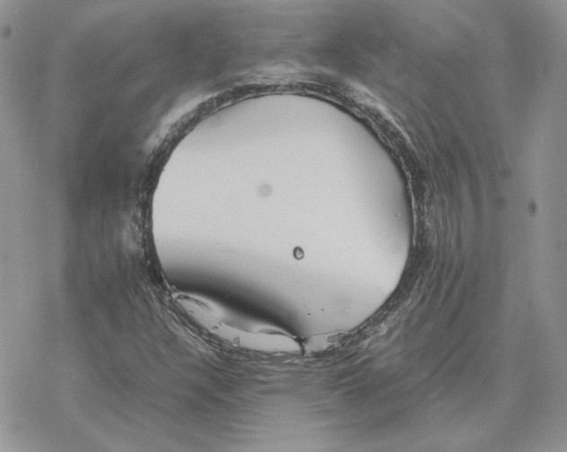 X0000077331304200611171757