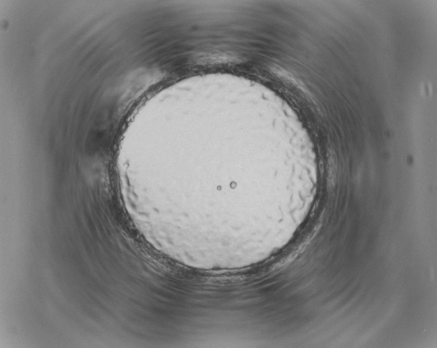 X0000077331305200611171757