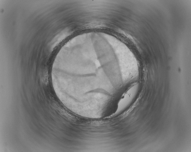 X0000077331306200611171757