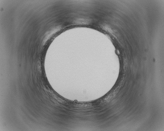 X0000077331307200611171757