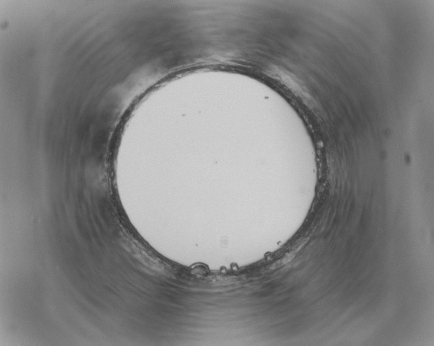 X0000077331308200611171757