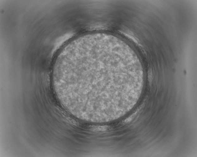 X0000077331309200611171757