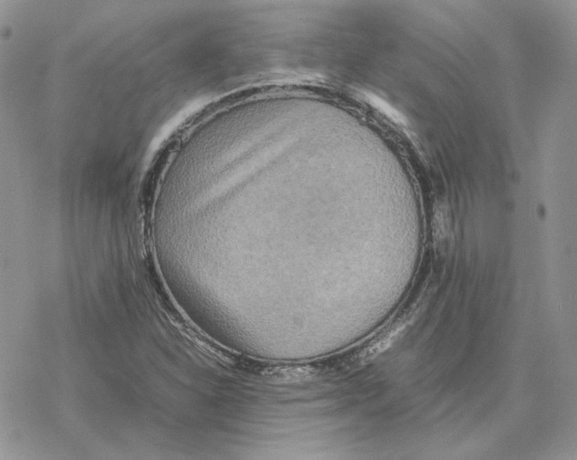 X0000077331310200611171757