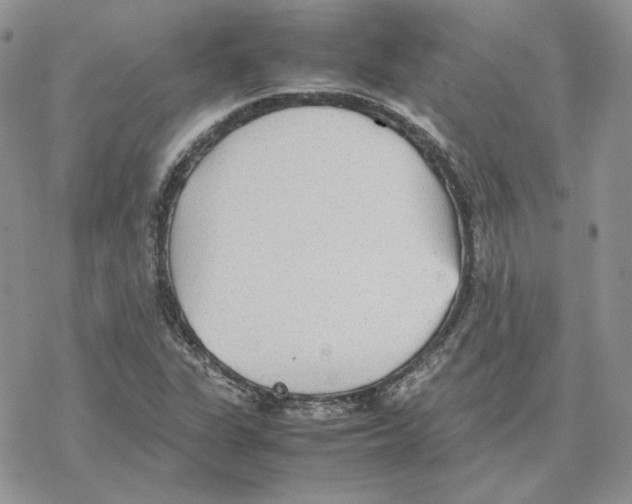 X0000077331311200611171757