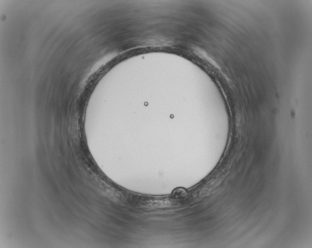 X0000077331315200611171757