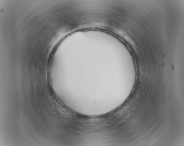 X0000077331316200611171757