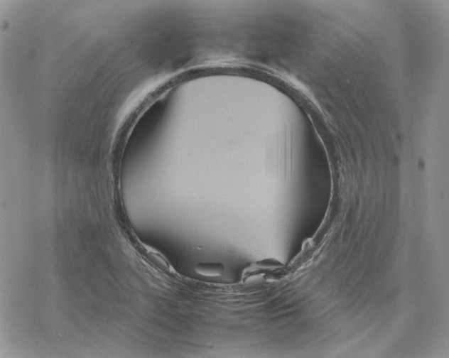 X0000077331319200611171757