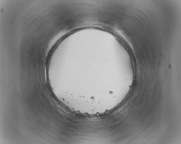 X0000077331320200611171757