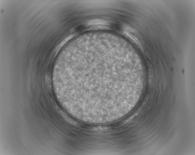 X0000077331321200611171757